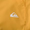 Мъжки панталони за сноуборд Quiksilver Estate mineral yellow 4