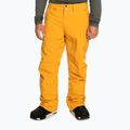 Мъжки панталони за сноуборд Quiksilver Estate mineral yellow 6