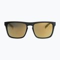 Мъжки слънчеви очила Quiksilver Ferris Polarised smoke/gold 6
