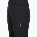 Дамски панталони за сноуборд ROXY Gore-Tex Stretch Prism Bib true black 8