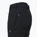 Дамски панталони за сноуборд ROXY Gore-Tex Stretch Spridle true black 10