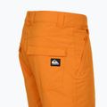 Мъжки панталони за сноуборд Quiksilver Estate orange pepper 10