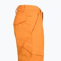 Детски панталони за сноуборд DC Banshee oriole 6
