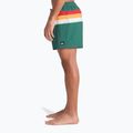 Мъжки бански шорти Quiksilver Everyday Printed Volley 15“ forest outside stripe 6