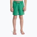 Детски бански шорти Quiksilver Everyday Volley 14“ leprechaun 3