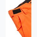 Детски сноуборд панталони Quiksilver Estate vermillon 9