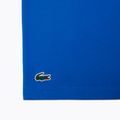 Мъжка тенис фланелка Lacoste TH1044 gipsy white/navy blue 8