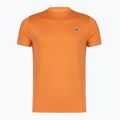Мъжка фланелка за тенис Lacoste TH0004 blossom