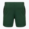 Мъжки тенис шорти Lacoste GH0138 green 2
