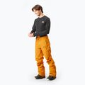 Мъжки ски панталони Picture Object 20/20 camel 2