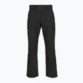 Мъжки скиорски панталони Picture Plan 10/10 black 7