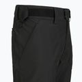 Мъжки скиорски панталони Picture Plan 10/10 black 9