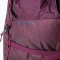 Blue Ice Warthog Pack 40L раница за трекинг бордо 100326 7