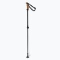 Ски палки Elan Voyager Rod черни CD907620 6