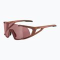 Слънчеви очила Alpina Hawkeye Q-Lite brick matt/black red mirror