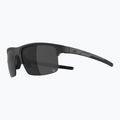 Слънчеви очила Alpina Eagle Q-Lite black matt/silver mirror 4