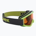 Очила за ски UVEX Speedy Pro зелени 55/3/819/70
