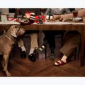 Чехли BIRKENSTOCK Arizona Birko-Flor gold 6