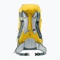 Ски раница Deuter Freescape Lite 26 л жълта 3300122 14