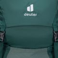 Дамска туристическа раница Deuter Futura SL 30 l зелена 340072122830 5