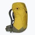 Туристическа раница Deuter AC Lite 30 л 342102182080 куркума/каки 2
