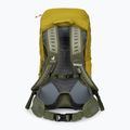 Туристическа раница Deuter AC Lite 30 л 342102182080 куркума/каки 3