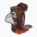 Deuter Freescape Pro 40+ l раница за скачане с парашут 330032269020 umbra/papaya 4