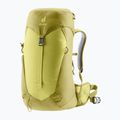 Дамска туристическа раница Deuter AC Lite 22 l SL sprout/linden