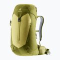 Туристическа раница deuter AC Lite 24 л линдън/кактус 4