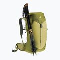 Туристическа раница deuter AC Lite 24 л линдън/кактус 9