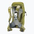 Туристическа раница deuter AC Lite 24 л линдън/кактус 13