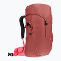 Детска туристическа раница Deuter Climber 22 l redwood/hibiscus 2