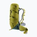 Туристическа раница deuter Aircontact Core 40 + 10 л кактус/айви 7