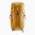 Туристическа раница Deuter Trail 24 l almond/deepsea