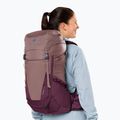 Туристическа раница deuter Futura 24 l SL ashrose/cassis 13