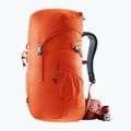 Туристическа раница deuter Climber 22 л папая/червено дърво 5
