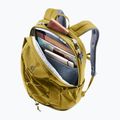 Раница deuter Gogo 25 l kelp/nori 8