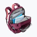 Градска раница deuter Cotogy 28 l cassis/dahlia 11