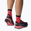 Чорапи DYNAFIT Alpine Short fluorescent coral 3