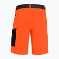 Мъжки къси панталони за туризъм Salewa Pedroc Cargo 2 orange 26934 5