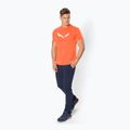 Мъжка тениска за трекинг Salewa Solidlogo Dry orange 00-0000027018 2