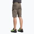 Salewa Lavaredo Hemp мъжки туристически шорти кафяви 00-0000028033 3