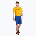 Мъжки къси панталони за туризъм Salewa Agner Light blue 00-0000027380 2