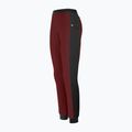Salewa Lavaredo Hemp Train дамски панталон за трекинг syrah/0910 3