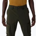 Мъжки софтшел панталони Salewa Puez DST Cargo green 00-0000028310 6