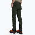 Мъжки панталони за трекинг Salewa Talveno 2 DST green 00-0000027804 3