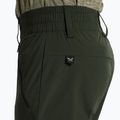 Мъжки панталони за трекинг Salewa Talveno 2 DST green 00-0000027804 4