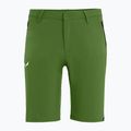 Salewa Talveno DST мъжки къси панталони за туризъм светлозелени 00-0000027064 4