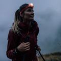 Salewa дамско софтшел яке Agner DST бордо 00-0000028301 17
