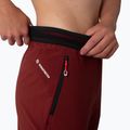 Дамски панталони за трекинг Salewa Pedroc 2 DST 2/1 maroon 00-0000028588 5